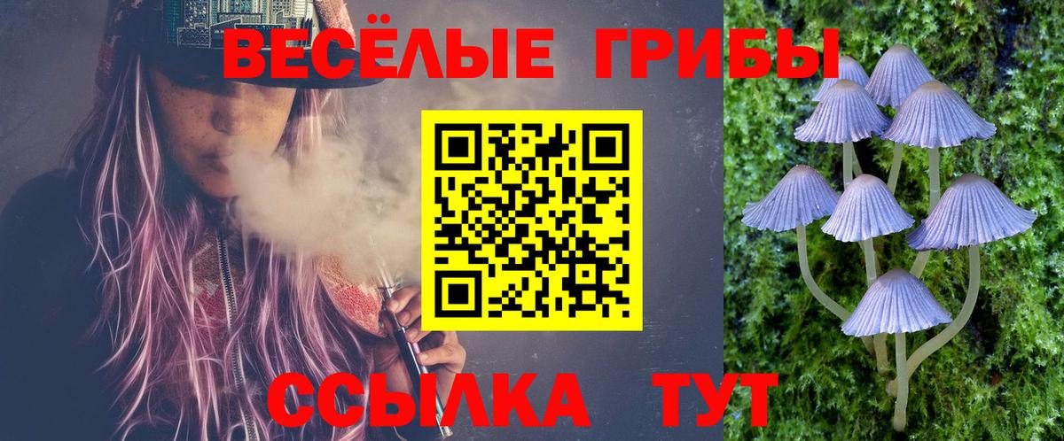 Галлюциногенные грибы ЛСД  Галлюциногенные грибы Magic Shrooms  Вход с VPN  наркошоп  Владимир 