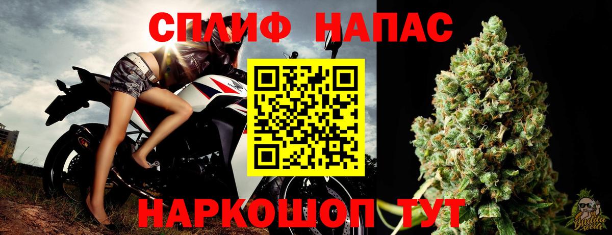 Канабис индика Владимир